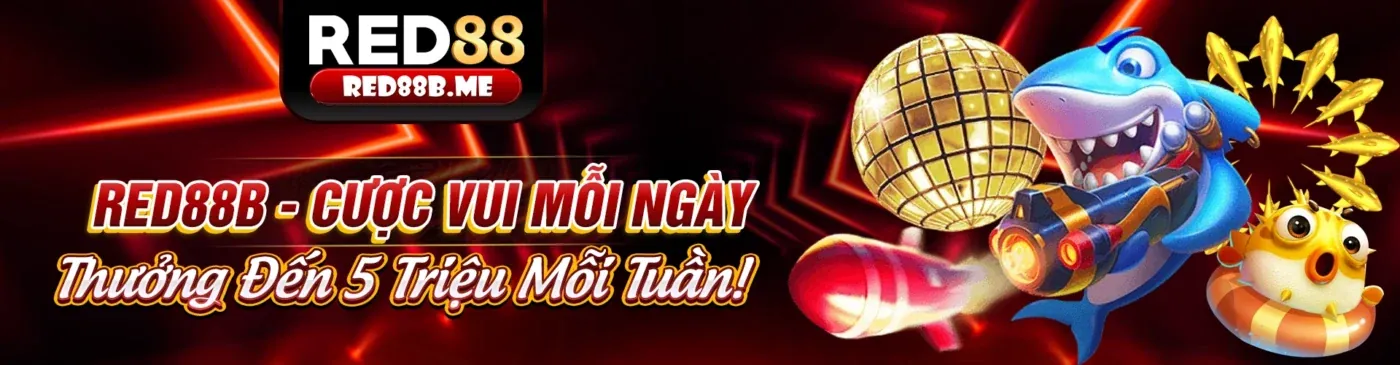 Chính sách Cookie và Bảo mật dữ liệu của 777king win