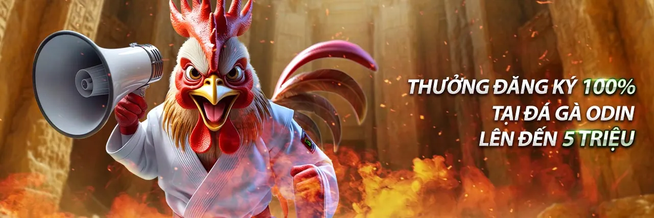 Hình ảnh chính về cá cược thể thao tại 777king win